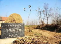 阴陵陈氏部落